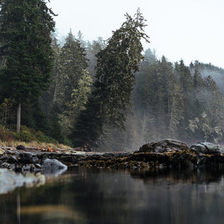 Men's Gifts Under $250